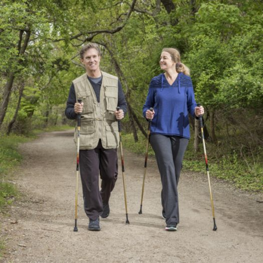 Summit Walking Poles